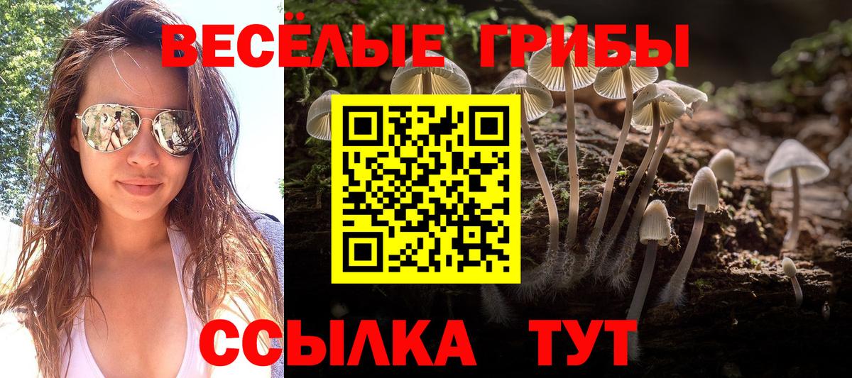Галлюциногенные грибы MAGIC MUSHROOMS Волгодонск
