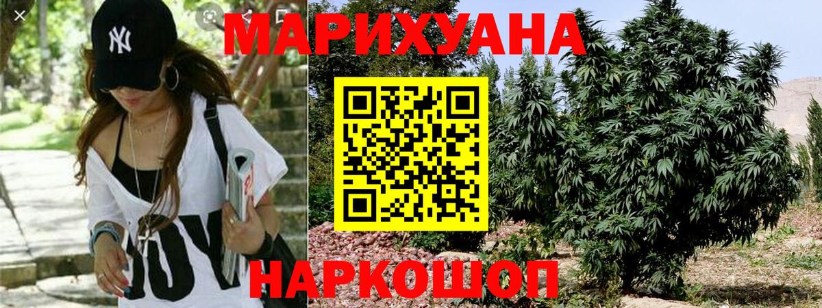 Бошки Шишки тримм  Каннабис Bruce Banner  Волгодонск  Конопля SATIVA & INDICA  Вход с VPN  Марихуана семена 